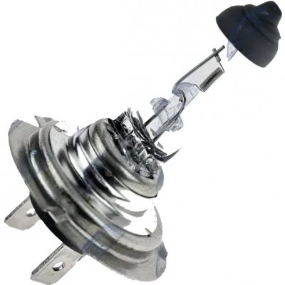 NTY (Balení 10 KS.) Halogenová Žárovka Halogen Bulb H1812V65W Standard/base Type: PY26D-1 (H18) – Hledejceny.cz