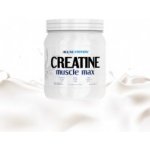 AllNutrition CREATINE MUSCLE MAX 250 g – Hledejceny.cz