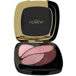 L'Oréal Paris Color Riche Les Ombres oční stíny S3 Disco Smoking 2,5 g – Zboží Dáma