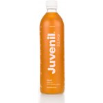 Juvenil sirup zázvor 500 ml – Hledejceny.cz