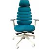 Kancelářská židle Mercury Spine s PDH
