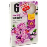 Admit Tea Lights Orchid 6 ks – Sleviste.cz