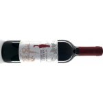 Santa Sofia Merlot Antichello "Santa Sofia" 12% 0,75 l (holá láhev) – Hledejceny.cz