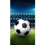 Detexpol osuška Fotbal stadion 70 x 140 cm bavlna froté – Zboží Dáma