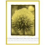 Tradag Rámeček žlutý UH 70x100 – Hledejceny.cz