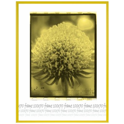 Tradag Rámeček žlutý UH 70x100 – Hledejceny.cz