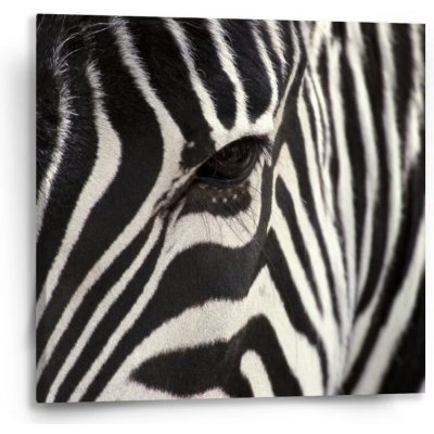 Sablio Obraz Detail zebra - 50x50 cm – Hledejceny.cz