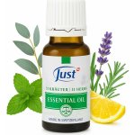 Just Olej z 31 léčivých bylin 20 ml – Zboží Dáma