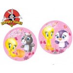 Míč Looney Tunes Tweety 23 cm – Zbozi.Blesk.cz