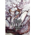 Sorcerer King of Destruction and the Golem of the Barbarian Queen Light Novel Vol. 2 – Hledejceny.cz