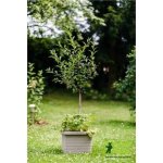Plastia Samozavlažovací truhlík Berberis UNO taupe 45 cm – Hledejceny.cz