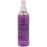 Cartec Carfum Lavender 200 ml – Hledejceny.cz