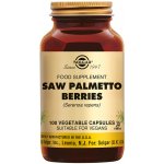Solgar Saw Palmetto 520 mg 100 kapslí – Hledejceny.cz