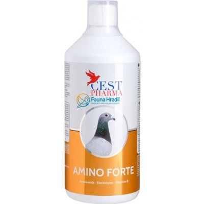 CEST Pharma AMINO FORTE 0,5 l – Zbozi.Blesk.cz