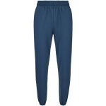 Vlnka pánské bavlněné tepláky na gumu modrá – Hledejceny.cz