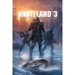 Wasteland 3 (D1 Edition) – Hledejceny.cz