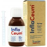 SCANVET InflaCeum - doplňky stravy pro psy a kočky - 100ml – Hledejceny.cz
