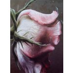 Fandy Fotoalbum 9 x 13 cm - 200 fotek - Floret 1 - 235685 1 – Sleviste.cz