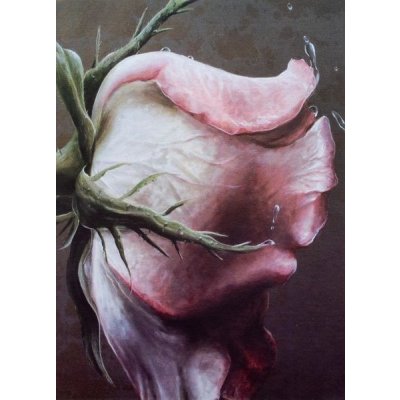 Fandy Fotoalbum 9 x 13 cm - 200 fotek - Floret 1 - 235685 1 – Sleviste.cz