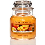 Yankee Candle Mango Peach Salsa 104 g – Hledejceny.cz