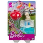 Mattel Barbie mini herní set s mazlíčkem grilování GRG76 – Sleviste.cz