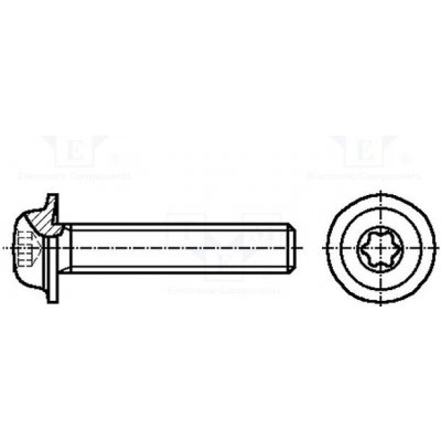 BOSSARD 3060960 Šroub; s límcem; M5x12; 0,8; Hlava: kulatá; Torx®; TX25 – Sleviste.cz