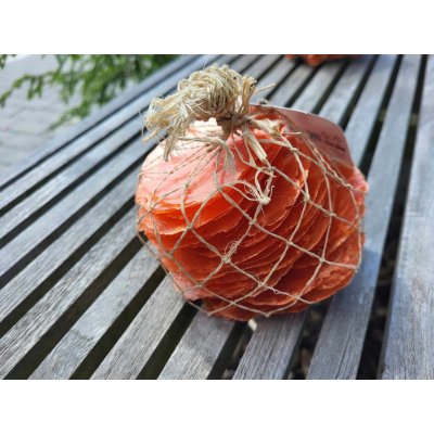 Dijk Natural Collection Mušle Capiz shell oranžová 250 g – Zboží Mobilmania