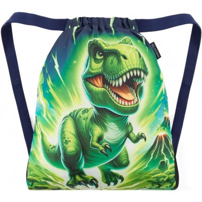 Bagmaster City Bag Lumi 25 C Dinosaur – Hledejceny.cz
