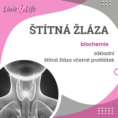 For Long Life Štítná žláza - základní + vyhodnocení lékařem + lék. zpráva – Zboží Mobilmania