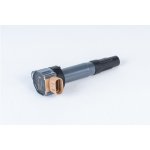 Zapalovací cívka BorgWarner (BERU) ZSE211 – Hledejceny.cz
