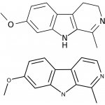 Gaia Store Harmala Freebase Izolát 99% 1 g – Zboží Dáma