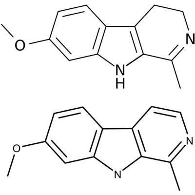 Gaia Store Harmala Freebase Izolát 99% 1 g – Zboží Dáma