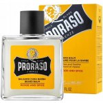 Proraso Wood & Spice balzám na vousy 100 ml – Zboží Dáma