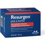 NBF Lanes resurgen pes a kočka podpora při rekonvalescenci 60 kps – Hledejceny.cz