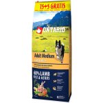 Ontario Adult Medium Lamb & Rice 20 kg – Sleviste.cz