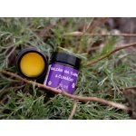 Ecopets balzám na tlapky a čenich s rakytníkem 30 ml – Hledejceny.cz