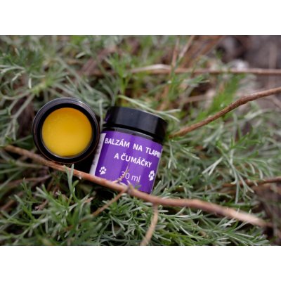 Ecopets balzám na tlapky a čenich s rakytníkem 30 ml – Hledejceny.cz