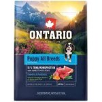 Ontario Puppy & Junior All Breeds Monoprotein Tuna & Sweet Potatoes 2,25 kg – Hledejceny.cz