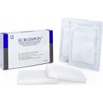 G&B SYNERGY s.r.o. Surgispon Standard 8 x 5 x 1 cm 2 ks – Zbozi.Blesk.cz