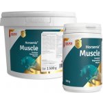 DOLFOS Horsemix Muscle 1,5 kg – Hledejceny.cz