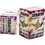 Serafin Anticandid bylinný čaj sypaný 50 g – Sleviste.cz