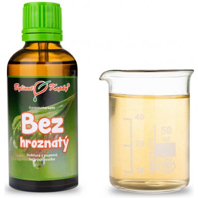 Bylinné kapky Gemmoterapie Bez hroznatý pupeny 50 ml – Hledejceny.cz