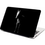 Sablio Samolepka na notebook Kůň ve stínu - 29x20 cm – Zboží Živě
