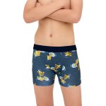 Cornette boxerky chlapecké 700/156 Hornet – Hledejceny.cz