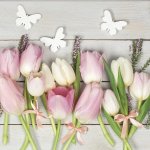 Ubrousky na dekupáž White & Pink tulipány on Wood 1 ks