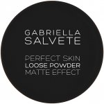 Gabriella Salvete Perfect Skin Loose Powder Matující pudr 02 6,5 g – Zboží Mobilmania