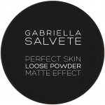 Gabriella Salvete Perfect Skin Loose Powder Matující pudr 02 6,5 g – Zbozi.Blesk.cz