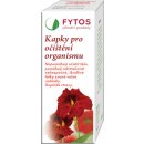 Fytos Kapky pro očištění organismu 50 ml