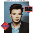 Rick Astley - Hold Me in Your Arms