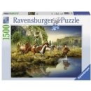 Ravensburger Divoké koně 1500 dílků